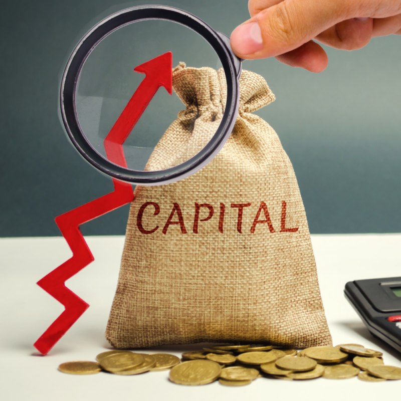 Working Capital for Business Growth